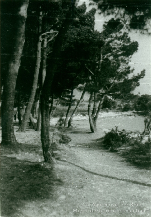 Image description